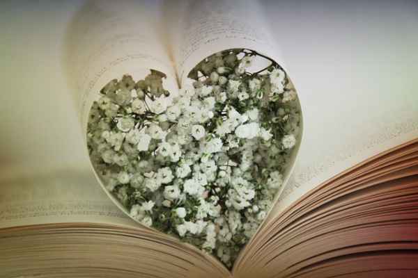 When His Eyes Opened Recommendation Heart Book Love