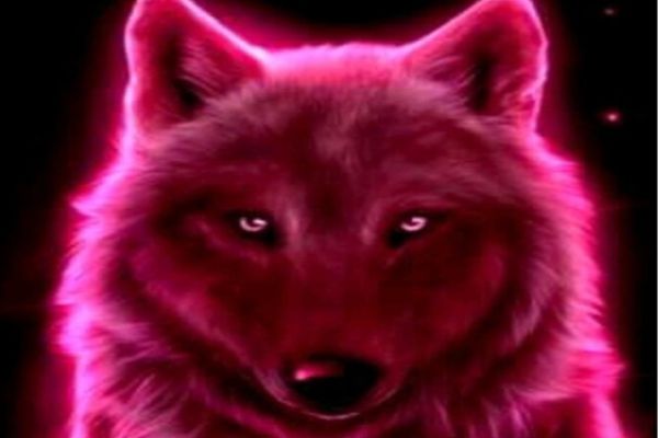 My Miracle Luna Rylee's pink wolf