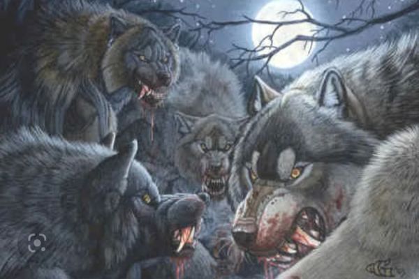 The Wanted Alpha Strong Werewolf Pack
